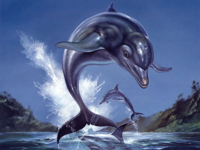 Dolphins Jumping — Blue, Dynamic
