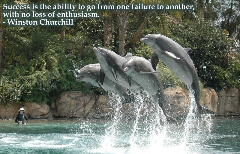 Dolphins Jumping — Blue, Energetic