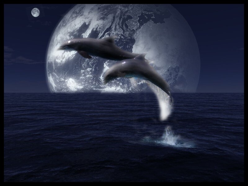 Dolphins Jumping — Blue, Serene