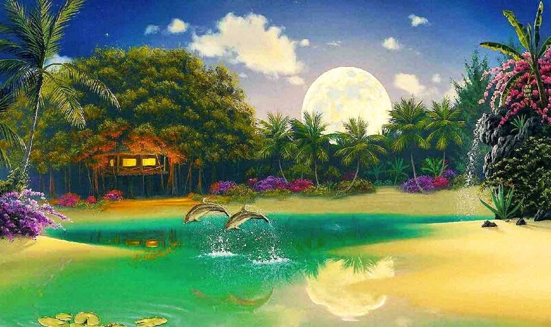 Dolphins Jumping in Lagoon