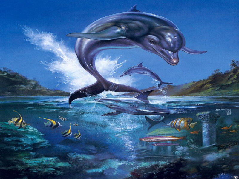 Dolphins Jumping in Ocean — Blue, Dynamic, Afternoon, Illustration