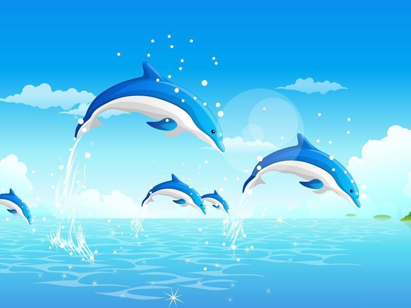 Dolphins Jumping in Ocean — Blue, Playful, Afternoon