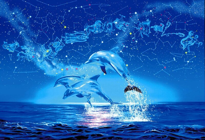 Dolphins Jumping in Ocean — Blue, Serene
