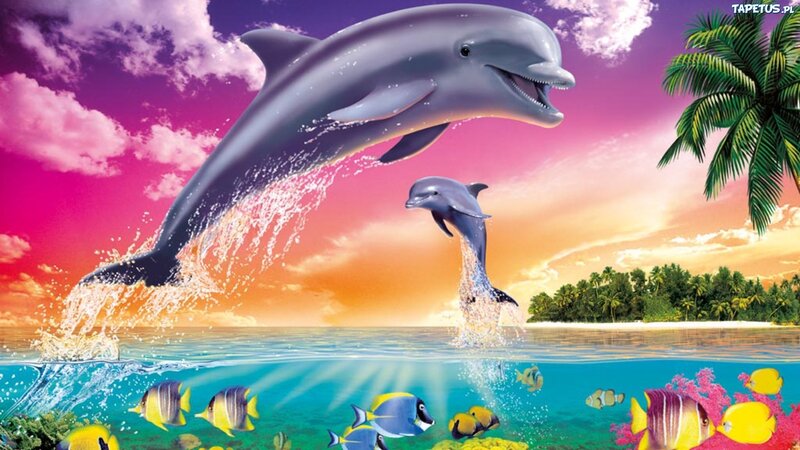 Dolphins Jumping in Ocean — Pink, Vibrant