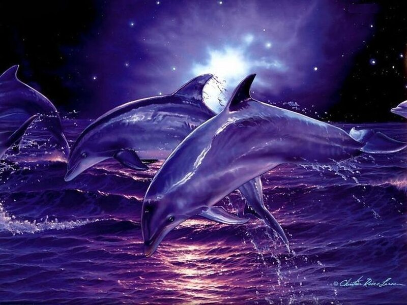 Dolphins Jumping in Ocean — Purple, Dreamy