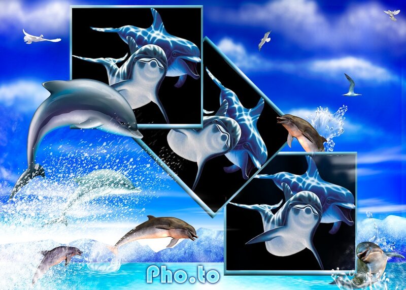 Dolphins Jumping in Water — Blue, Playful