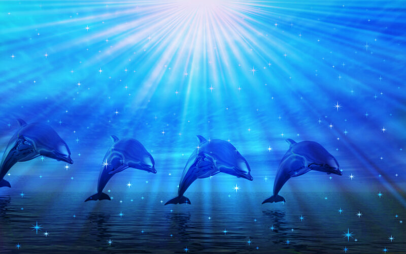 Dolphins Jumping in Water — Blue, Serene