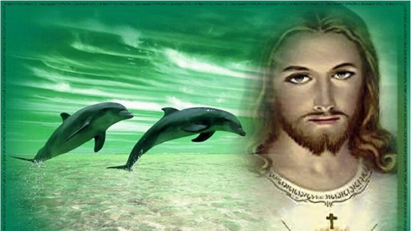 Dolphins Jumping in Water — Green, Serene