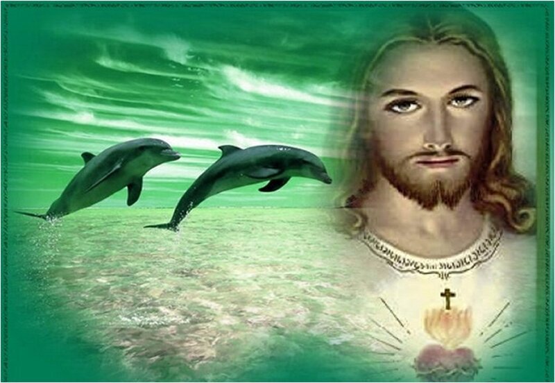 Dolphins Jumping in Water — Green