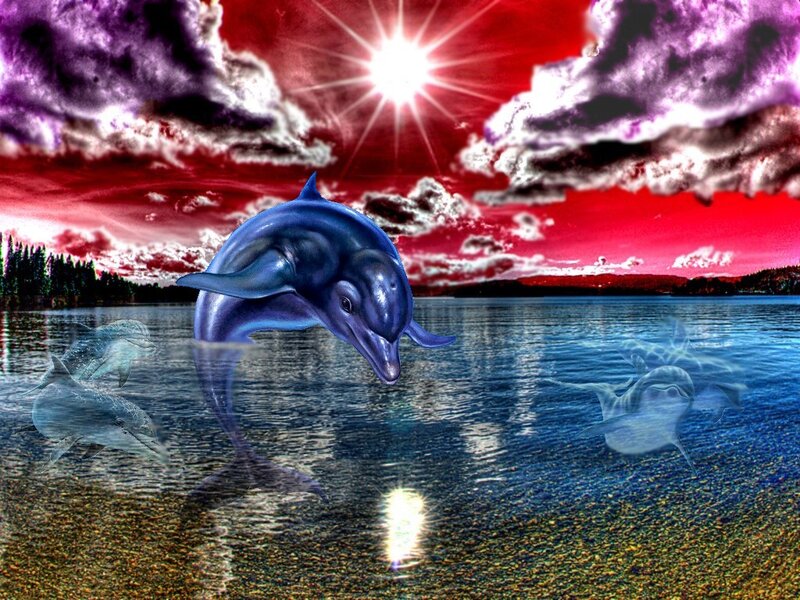Dolphins Jumping in Water — Red