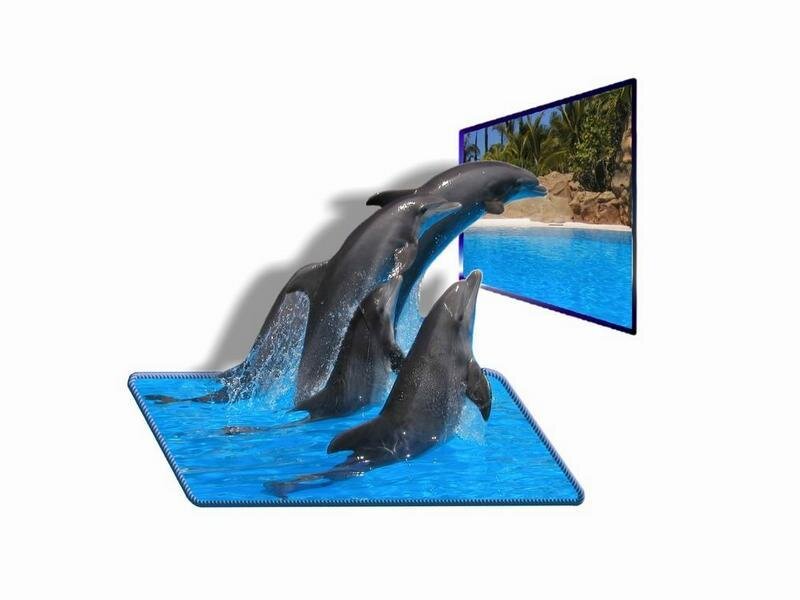 dolphins jumping in water