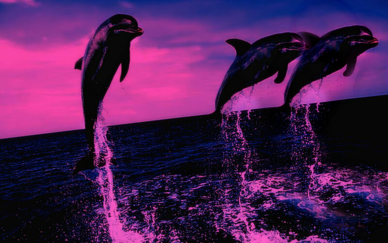 Dolphins Jumping — Purple, Dramatic