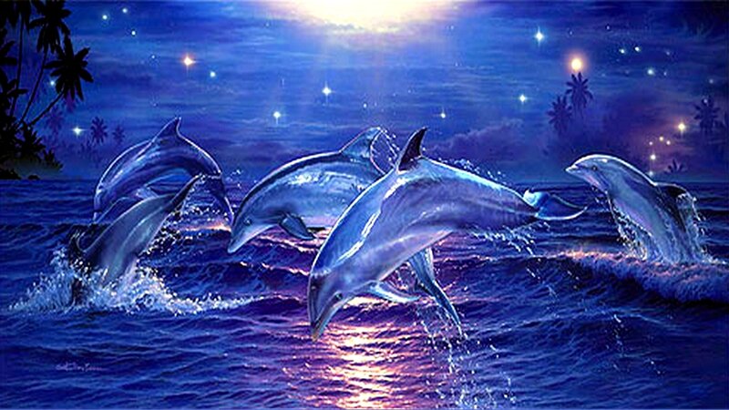 Dolphins leaping at night
