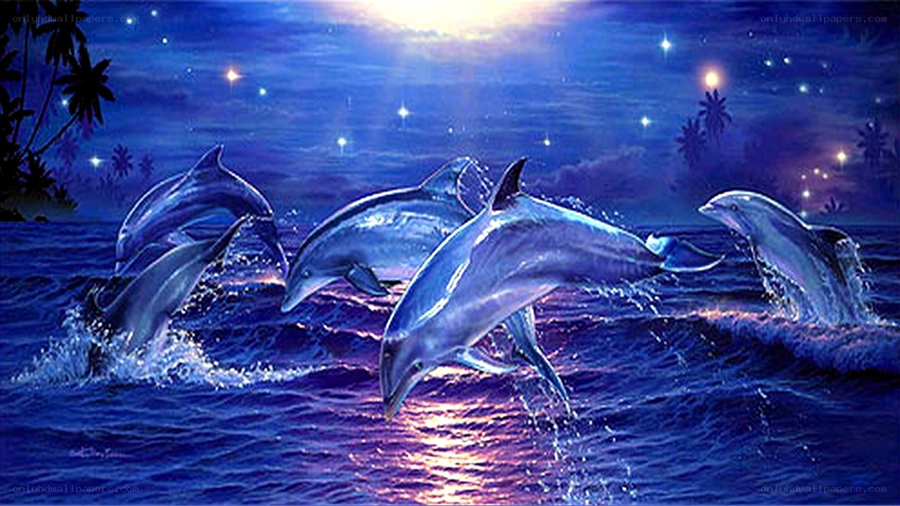 Dolphins leaping at night