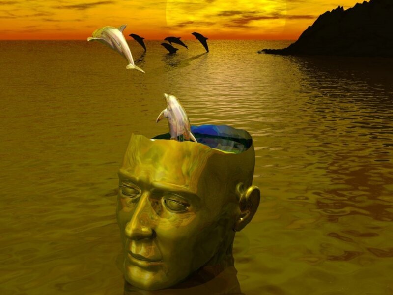 Dolphins leaping from a head