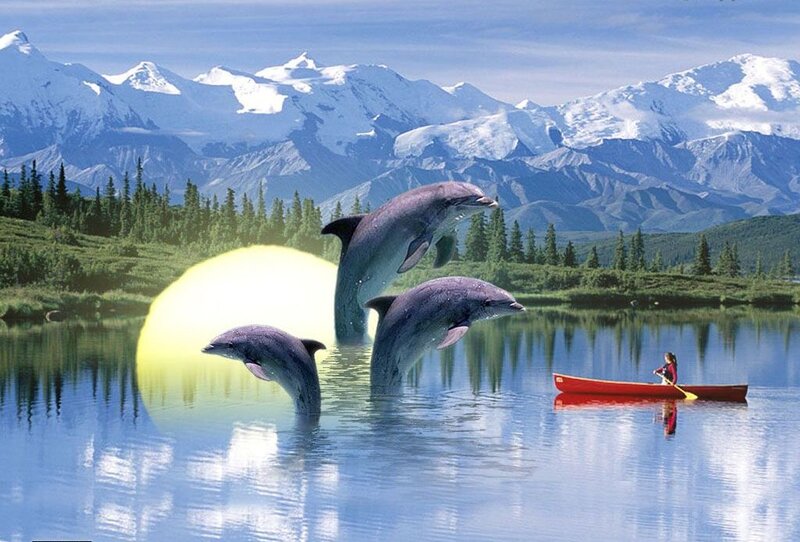 Dolphins Leaping in Lake