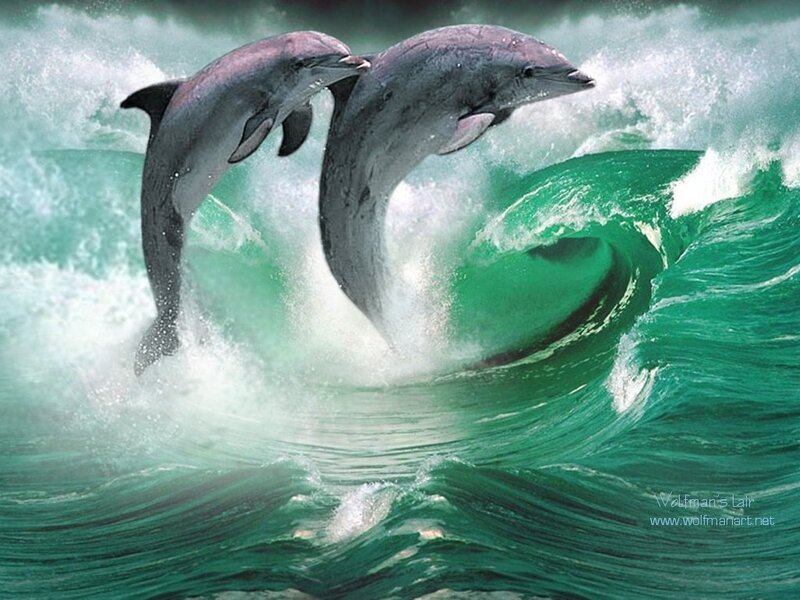 Dolphins leaping in ocean waves