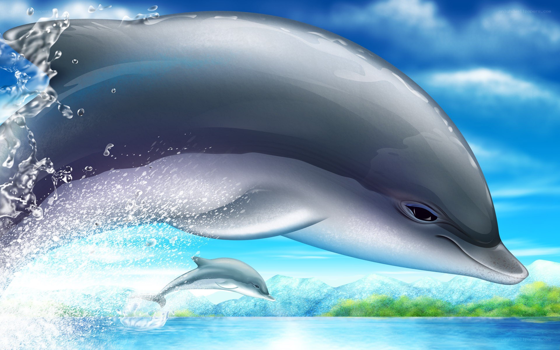 Dolphins leaping in the ocean