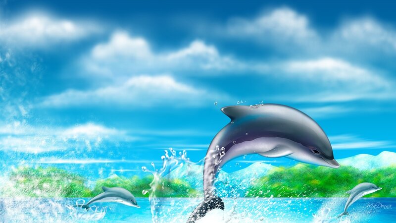 Dolphins leaping in the ocean