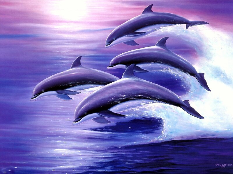 Dolphins Leaping in Water — Purple