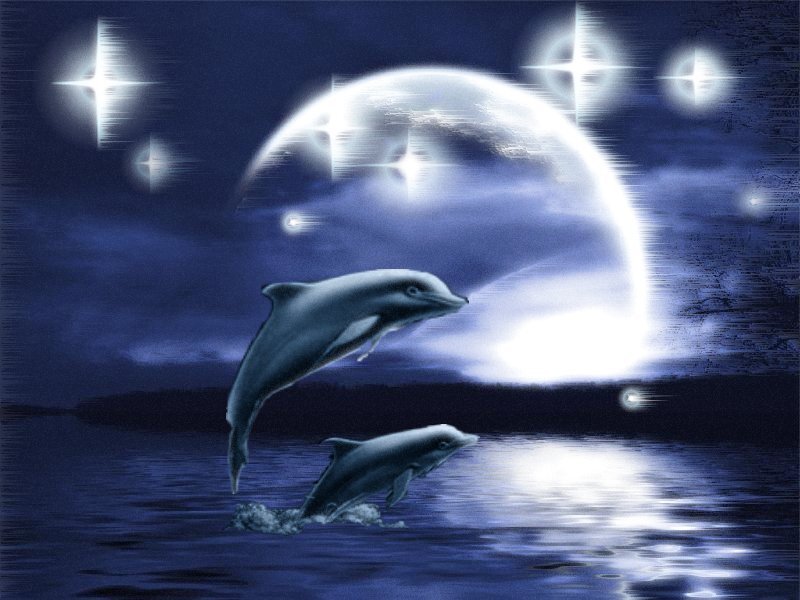 Dolphins leaping under moonlight