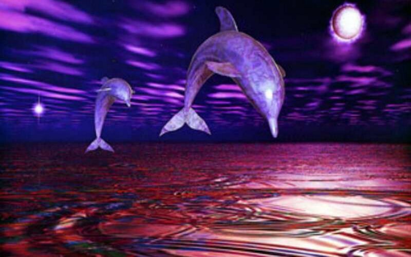 Dolphins leaping under purple sky