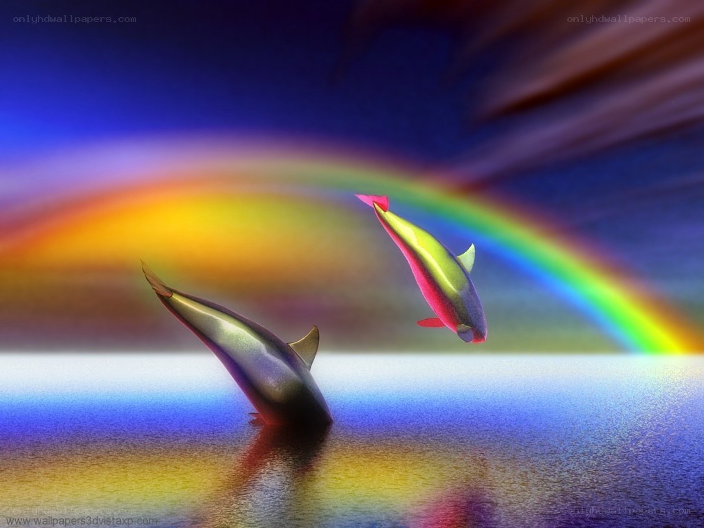 Dolphins leaping under rainbow