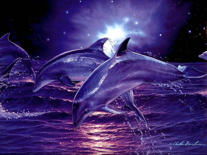 Dolphins leaping under starlight