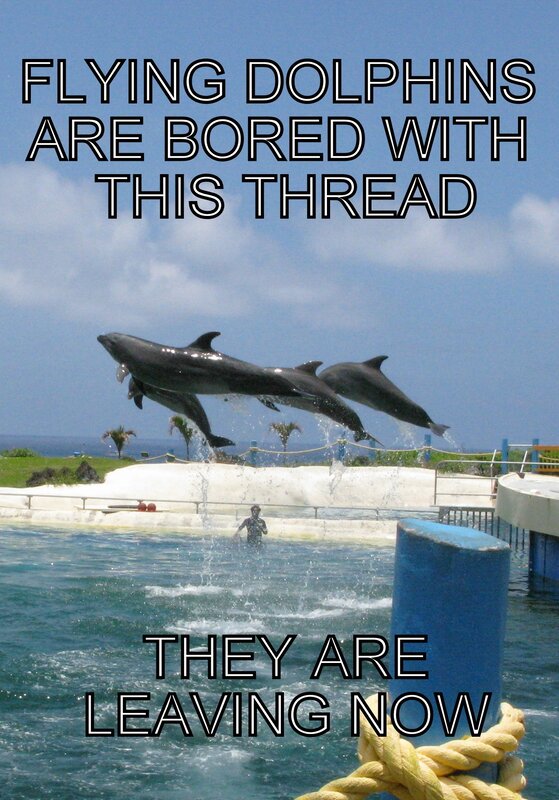 Dolphins leaving thread