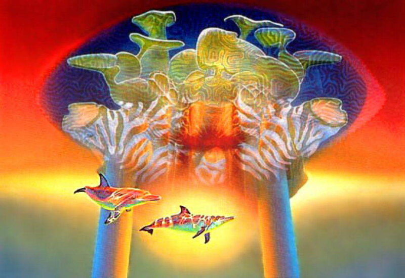 dolphins near glowing structure