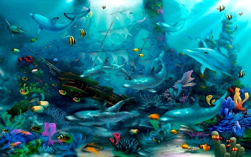 Dolphins Near Shipwreck