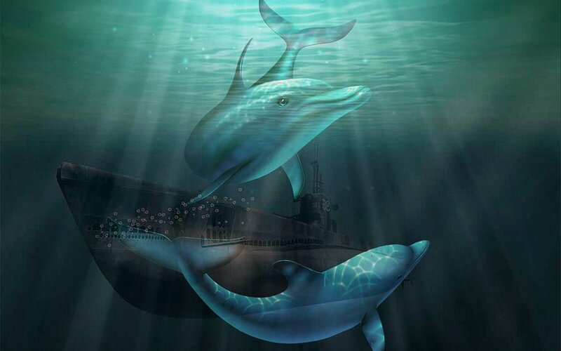 Dolphins Near Submarine