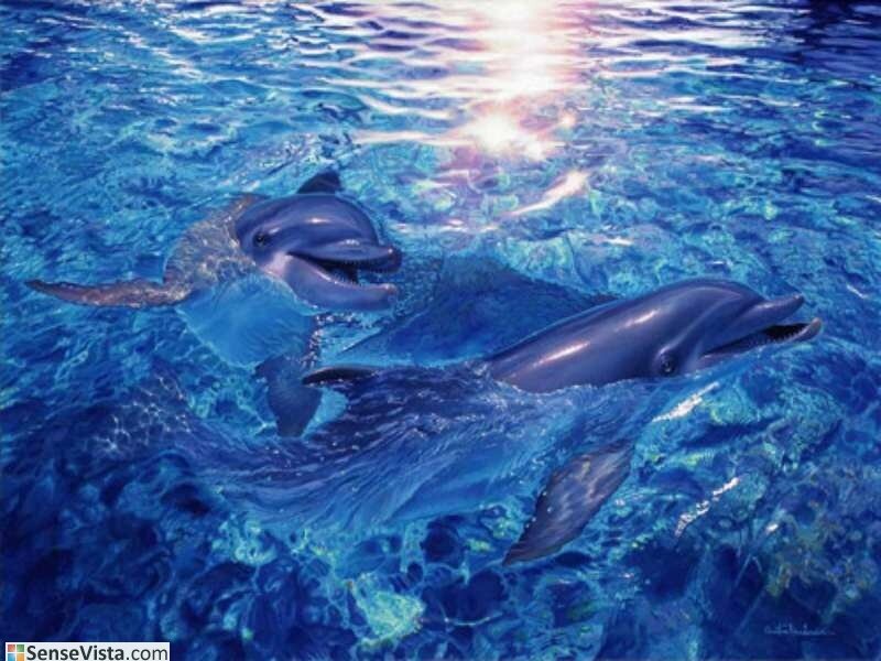 Dolphins swimming in blue water