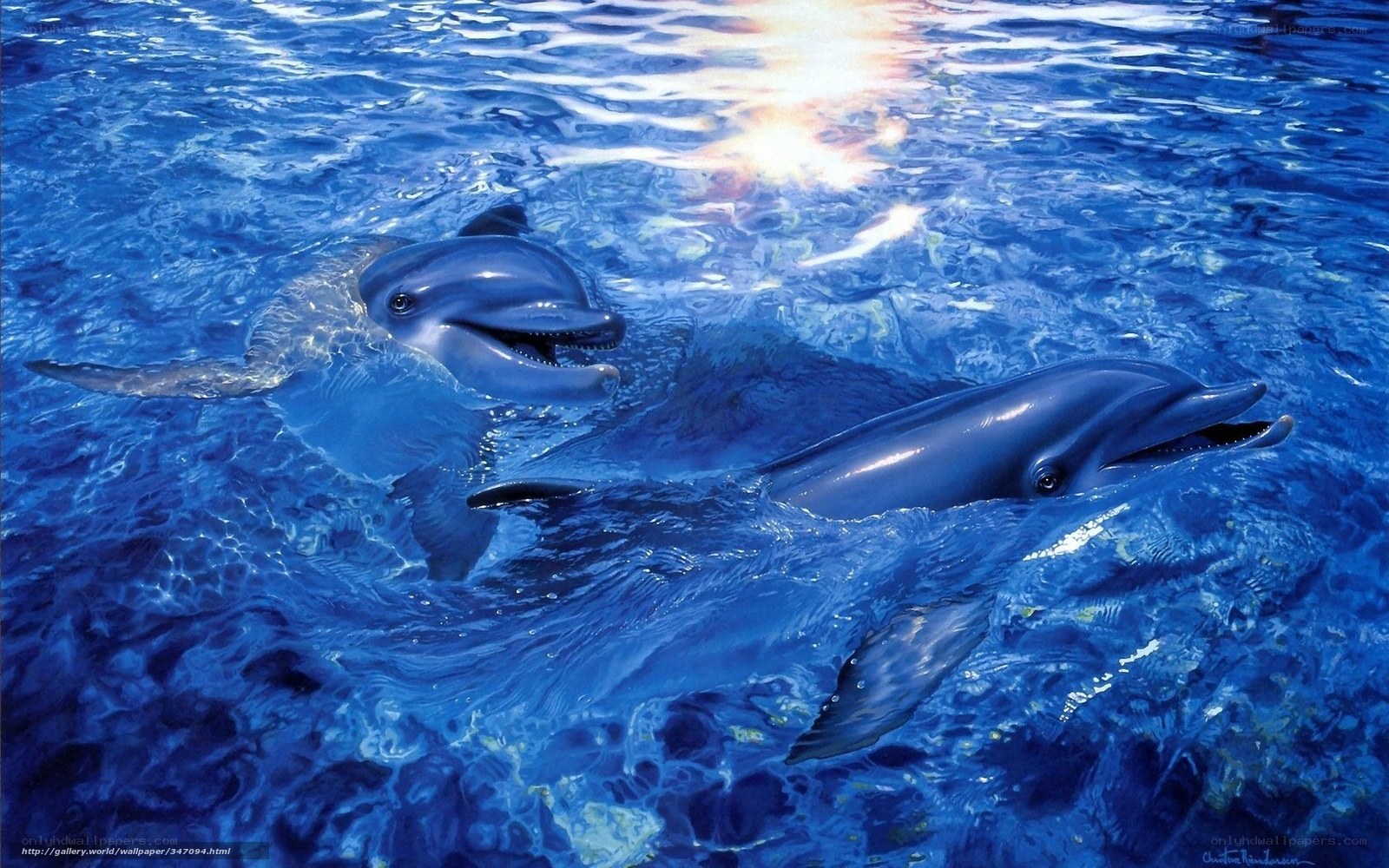 Dolphins swimming in blue water