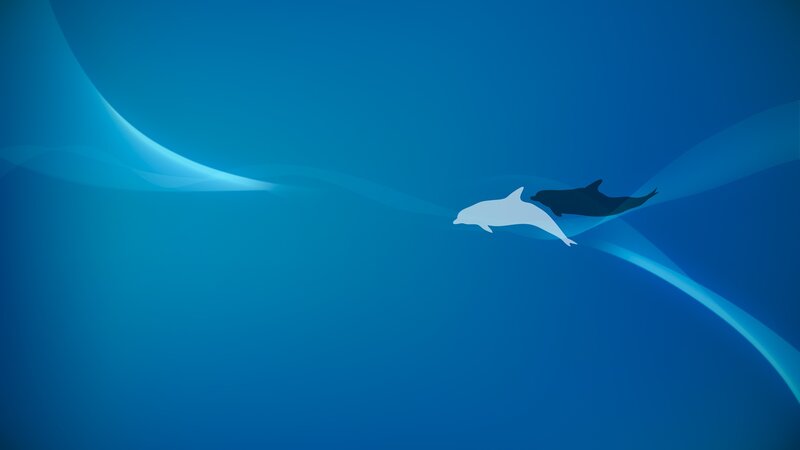 Dolphins swimming in blue water