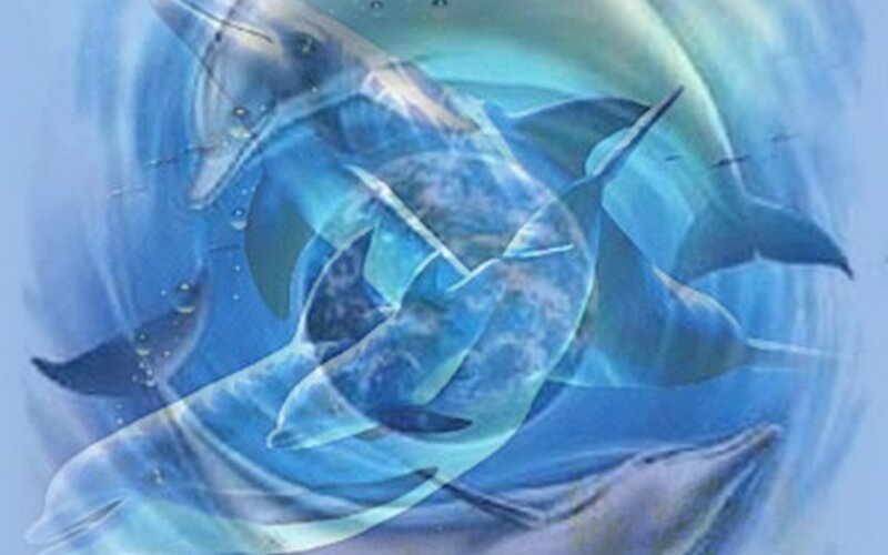 Dolphins swimming in blue water