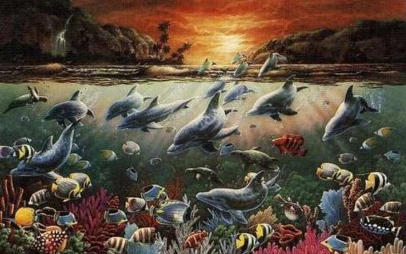 Dolphins swimming in coral reef