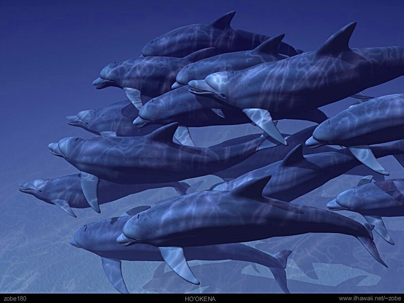 Dolphins Swimming in Ocean — Blue, Serene, 3d Render