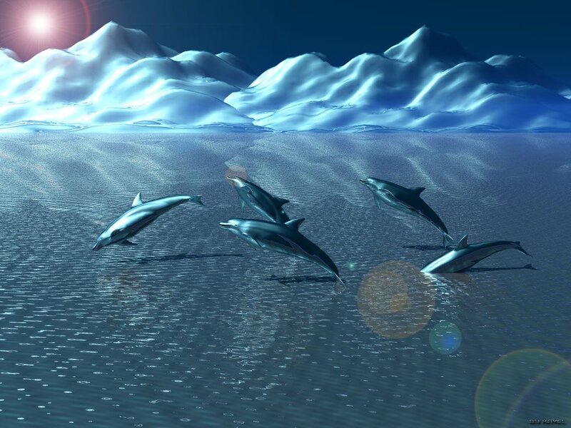 Dolphins Swimming in Ocean — Blue, Serene