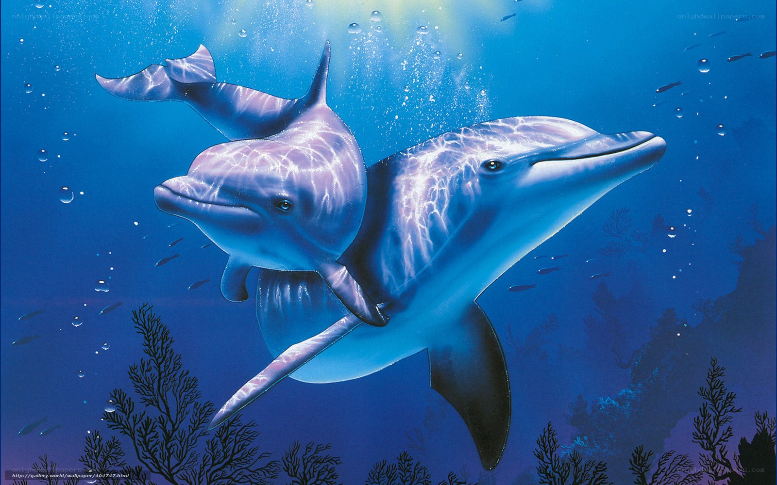Dolphins swimming underwater