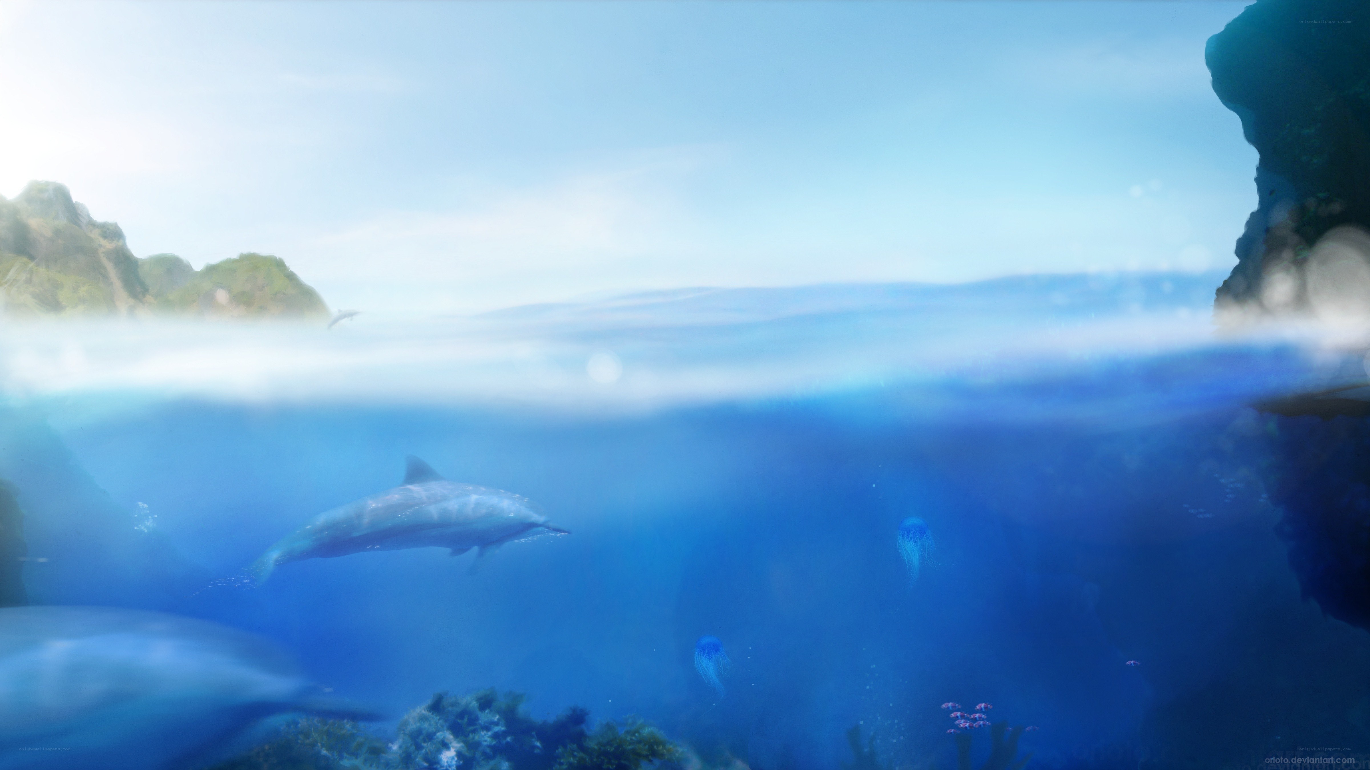 Dolphins swimming underwater