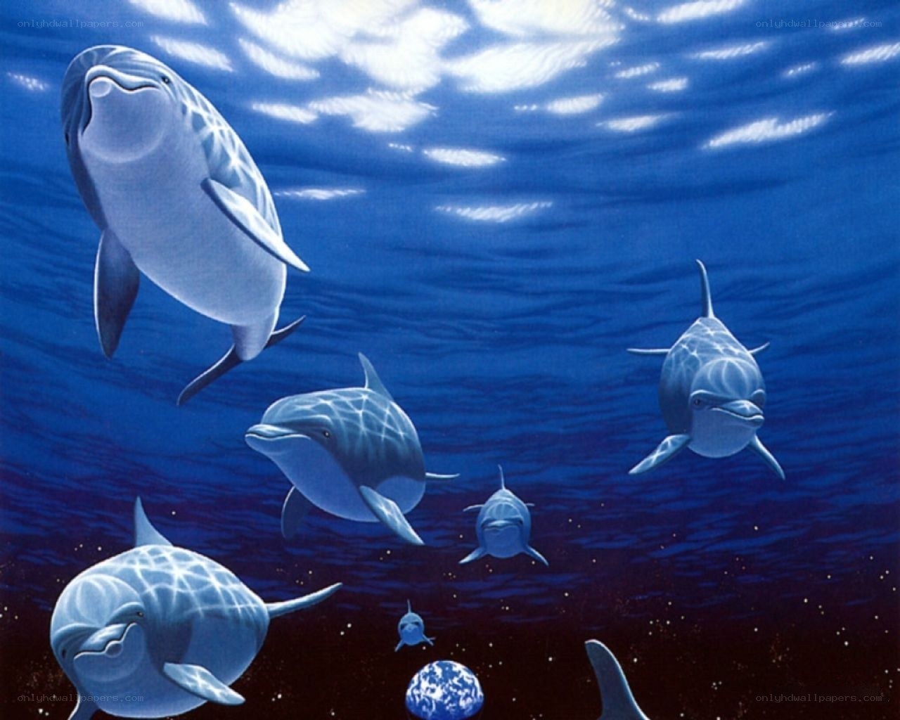 Dolphins swimming underwater