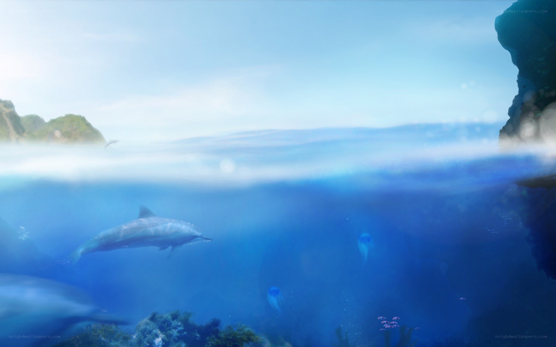 Dolphins swimming underwater