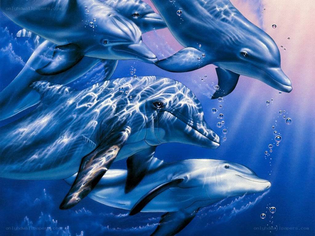Dolphins swimming underwater