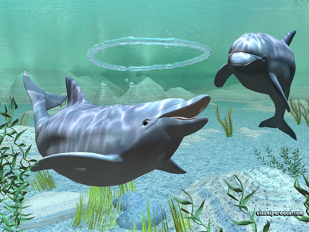 Dolphins swimming underwater