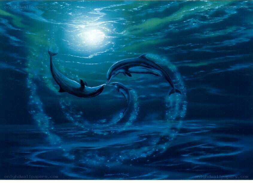 Dolphins swimming underwater