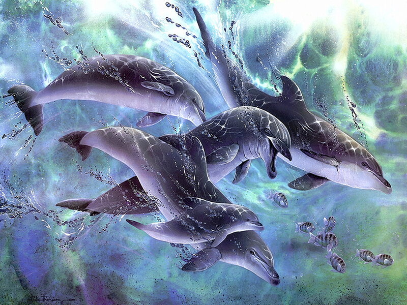 Dolphins Swimming Underwater — Blue, Dynamic