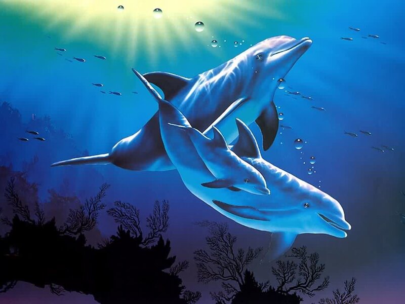 Dolphins Swimming Underwater — Blue, Serene, Afternoon, Digital Art, Fish