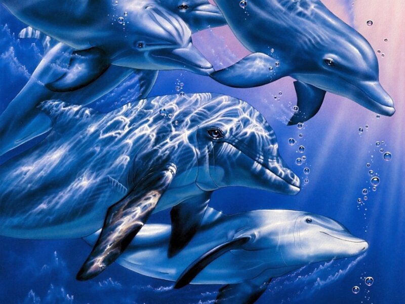 Dolphins Swimming Underwater — Blue, Serene, Digital Art, Bubbles