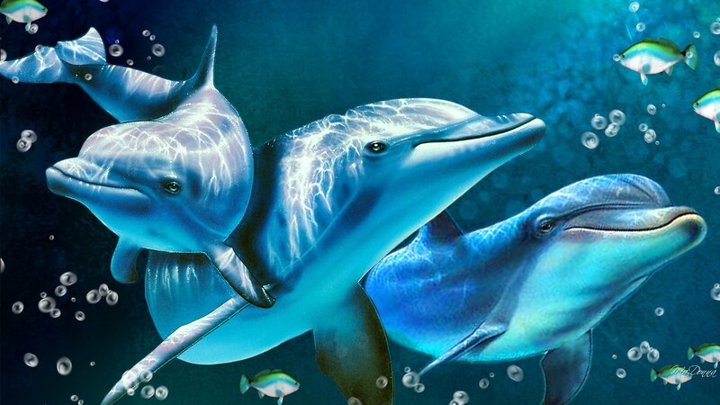 Dolphins Swimming Underwater — Blue, Serene, Digital Art, Fish, Bubbles
